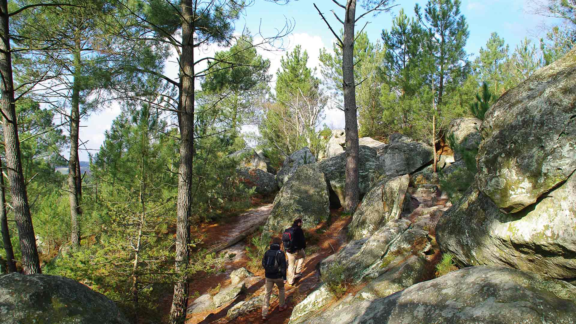 Twice the size of Paris, the Fontainebleau Forest is a hiker's paradise / © Jérôme Bon (Creative Commons / Flickr)